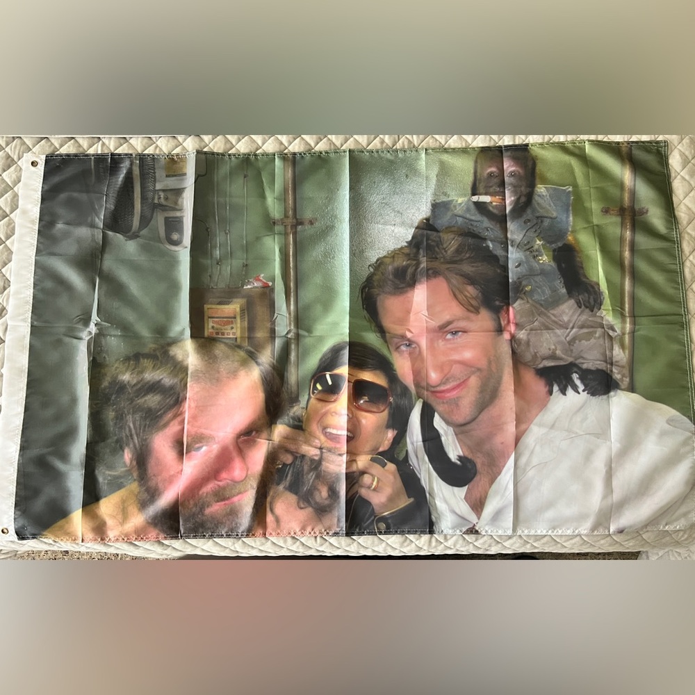 3’x5’ hangover flag dorm